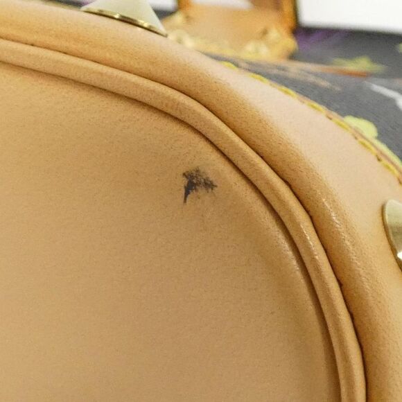 Louis Vuitton Coated Canvas Black Handbags - Picture 3 of 10